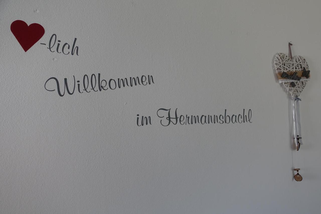 Am Hermannsbachl Bischofsmais Zewnętrze zdjęcie