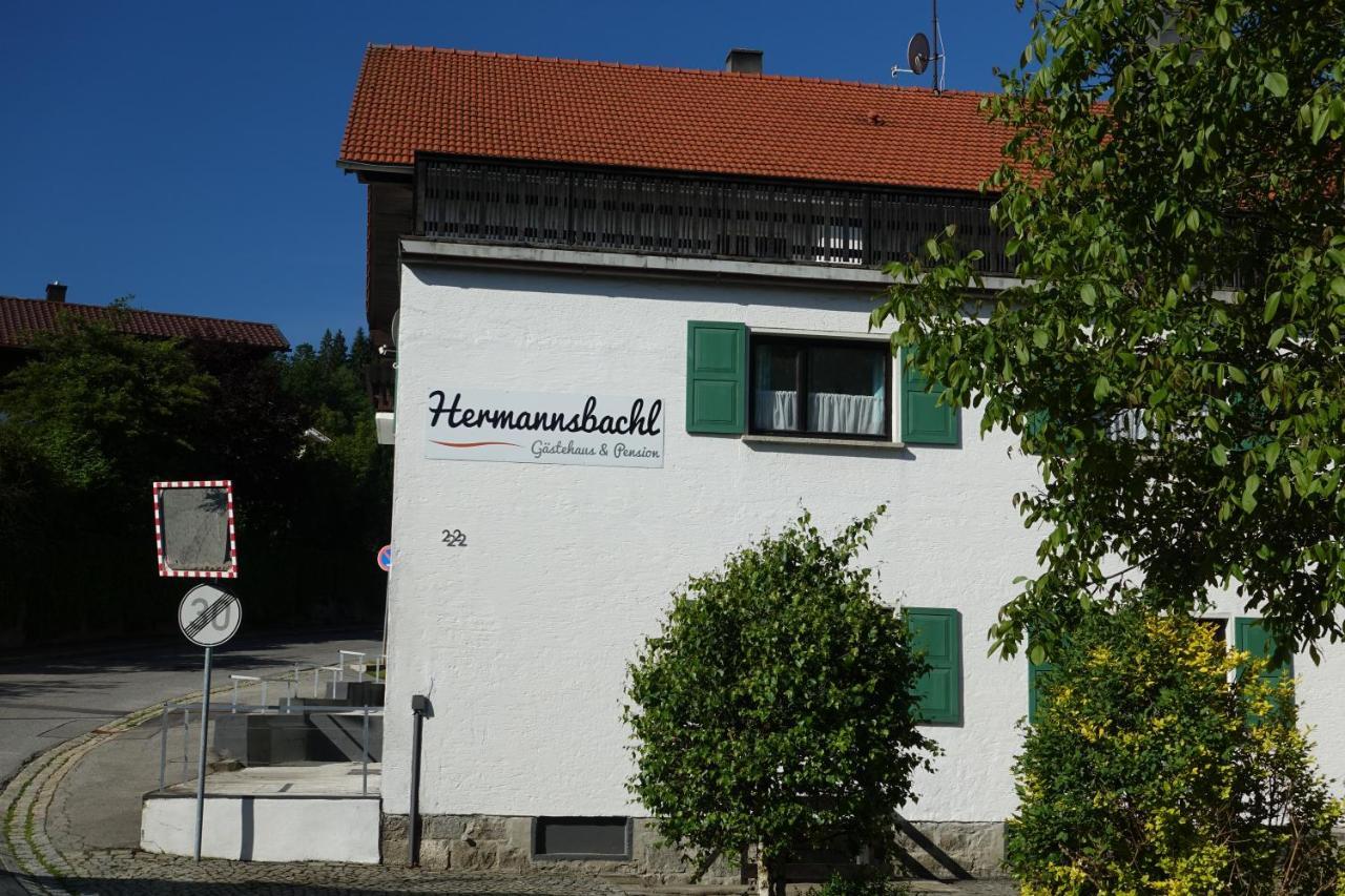 Am Hermannsbachl Bischofsmais Zewnętrze zdjęcie
