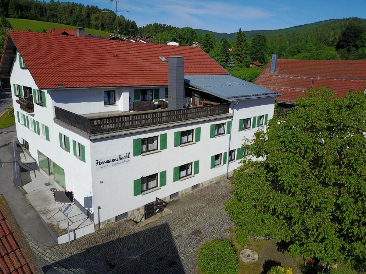 Am Hermannsbachl Bischofsmais Zewnętrze zdjęcie
